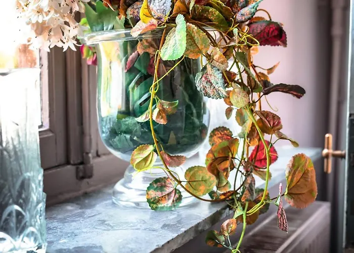 Bed & Breakfast Le Domaine Du Chateau Blanc A 10 Minutes De Pairi Daiza